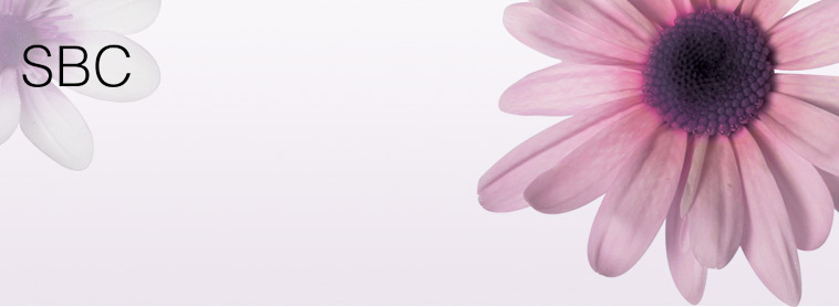 SBC – Simply Beautiful Collection