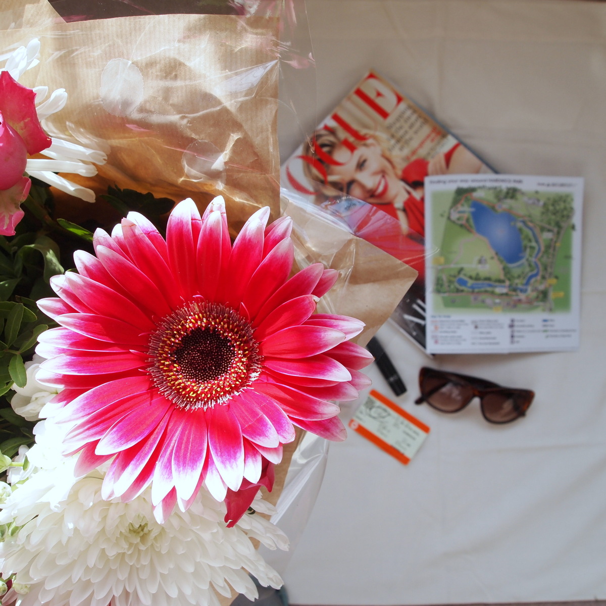 Sunday Supplement #10