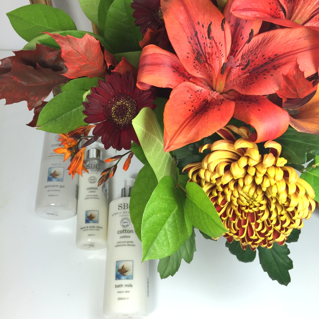 SBC  – Cotton Collection