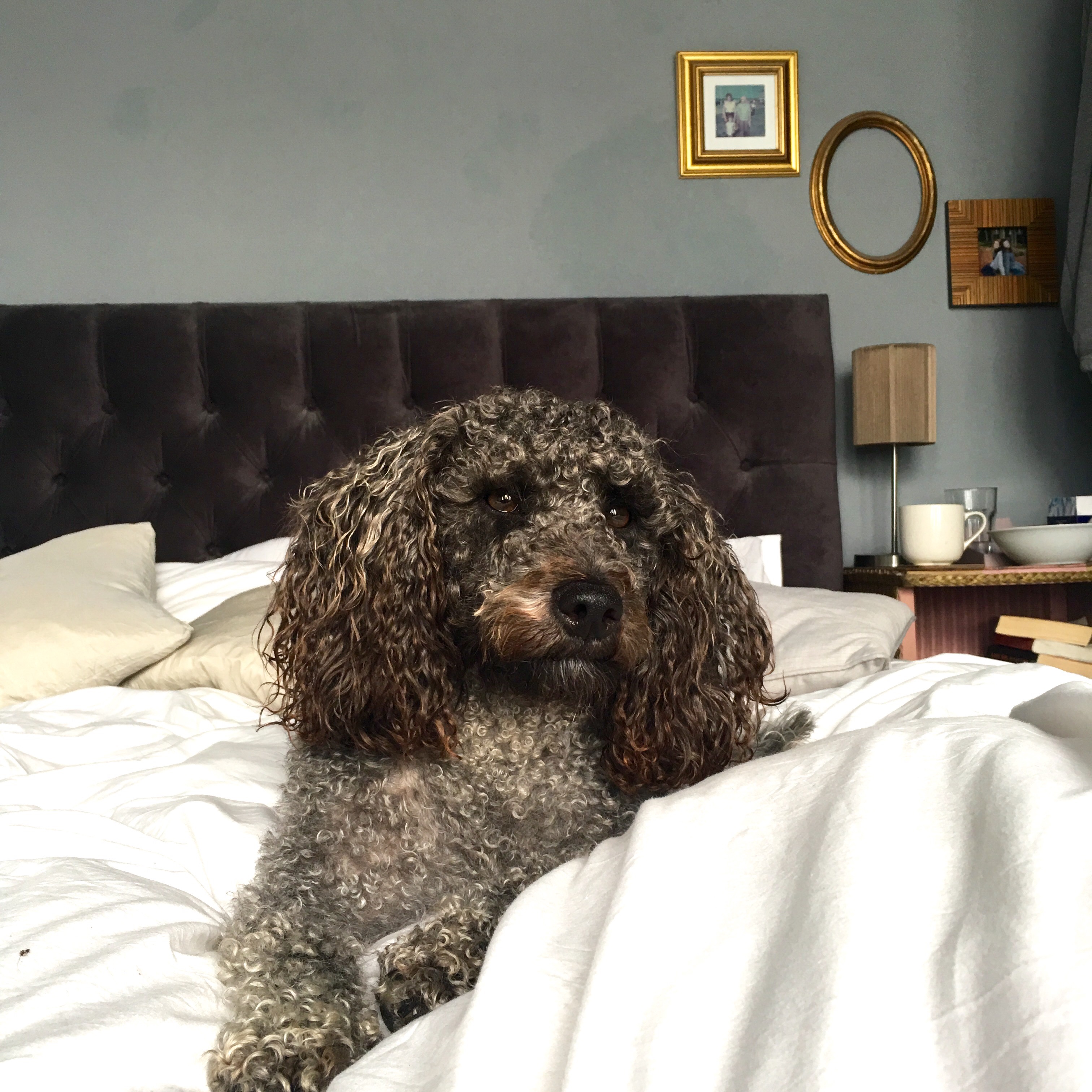 Sunday Supplement #34