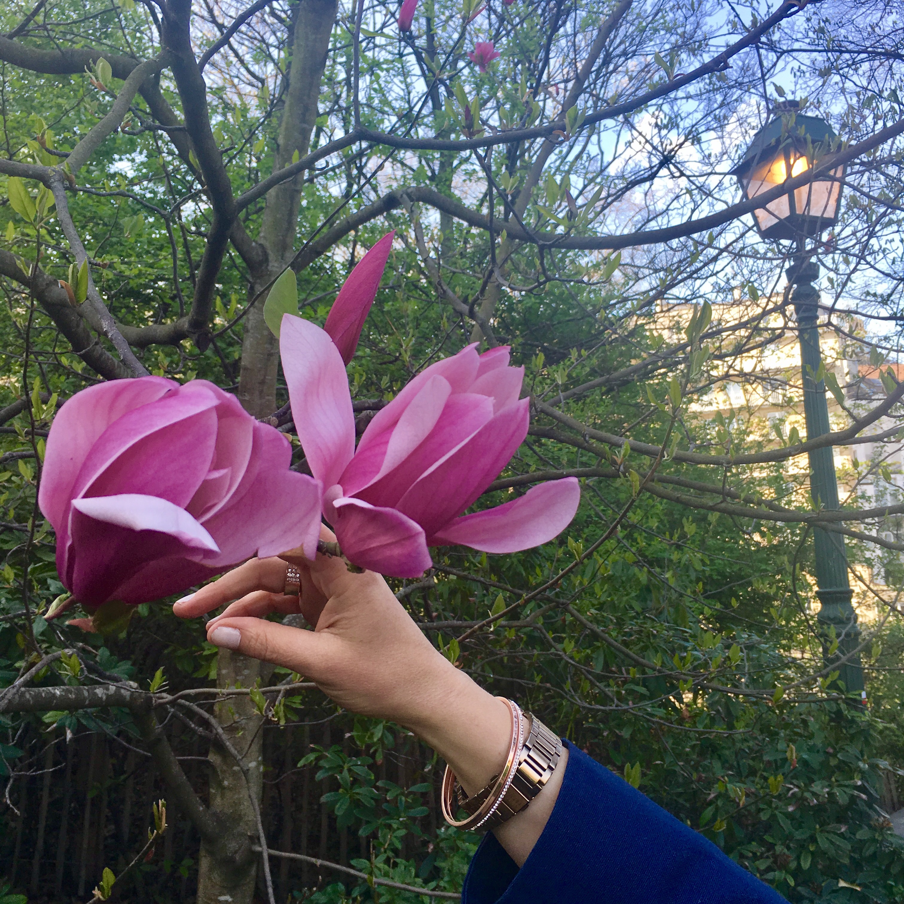 Packing for a Spring Break